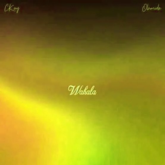 Ckay – Wahala ft. Olamide