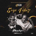 DJ Sjs - Best of Seyi Vibez Mix