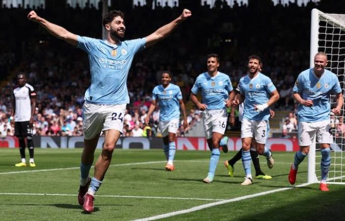 Fulham vs Man City 0-4 Highlights (Download Video)