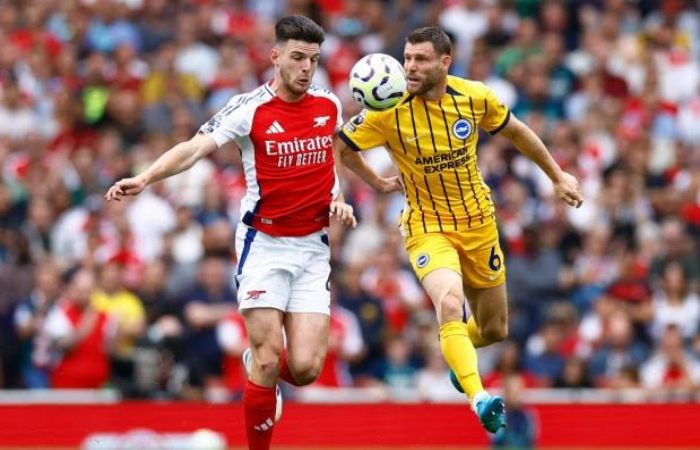 Arsenal vs Brighton & Hove Albion 2024 highlights 