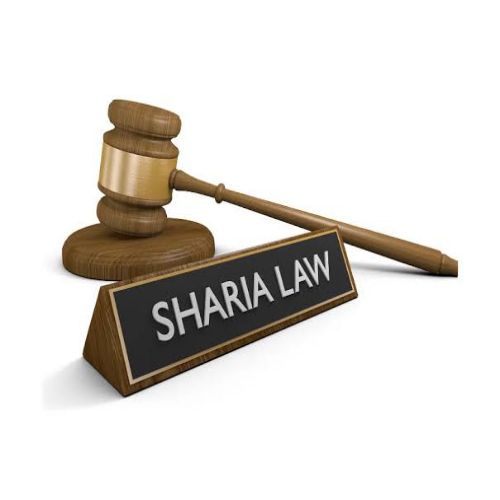 Shariah Law: Hypocrisy Propels Opponents of Constitutionally Backed Panel, Court