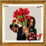 Joeboy ft. Shoday - Ring