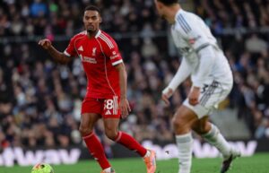 Fulham vs Liverpool highlights