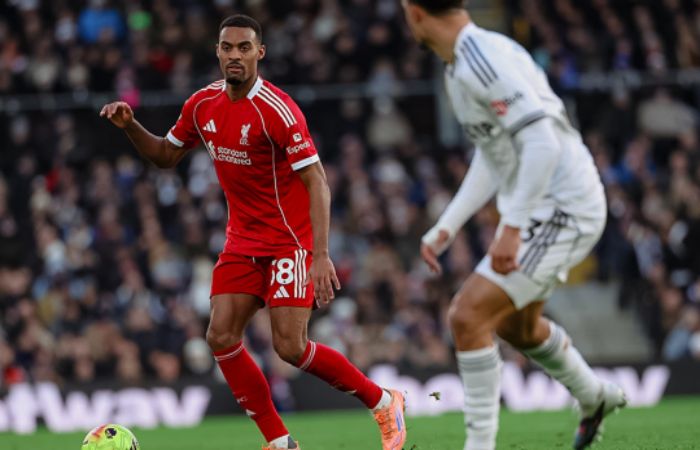 Fulham vs Liverpool highlights