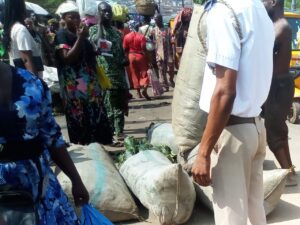 Oyo Govt Steps Up Environmental Enforcement, Arrests 19 Illegal Scavengers, Seals Polluting Facility in Ibadan