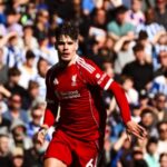 Brighton vs Liverpool highlights