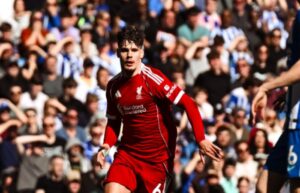 Brighton vs Liverpool highlights