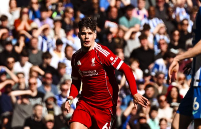 Brighton vs Liverpool highlights