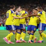 Sweden vs Tunisia highlights
